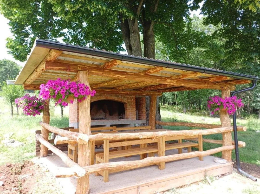 Farma & Apartmani II Opg Sasa Delic Grabusic Exterior photo